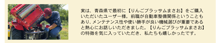 column_ringo-blossom-masao_01