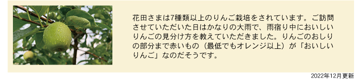 column_ringo-blossom-masao_03