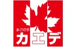 ピンクレディまごの手カエデ